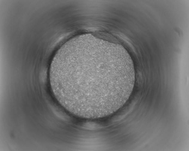 X0000113630596200910162017