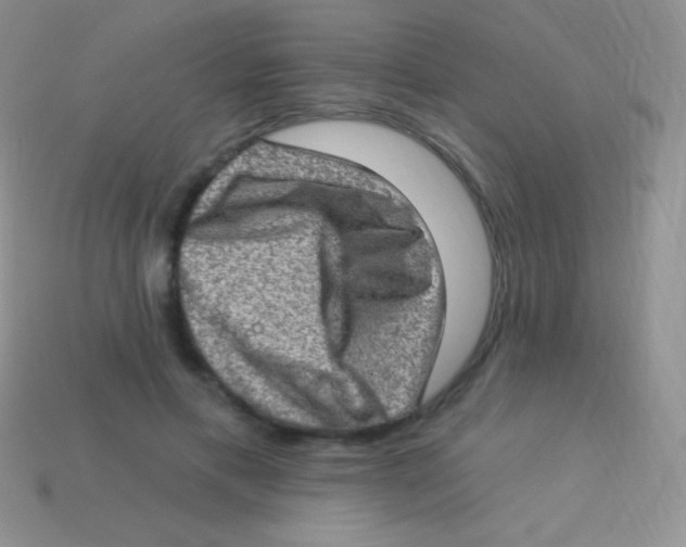 X0000113630597200910162017