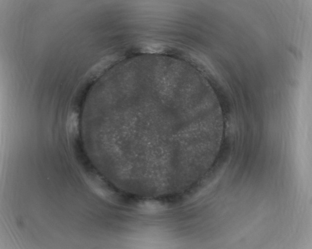 X0000113630598200910162017