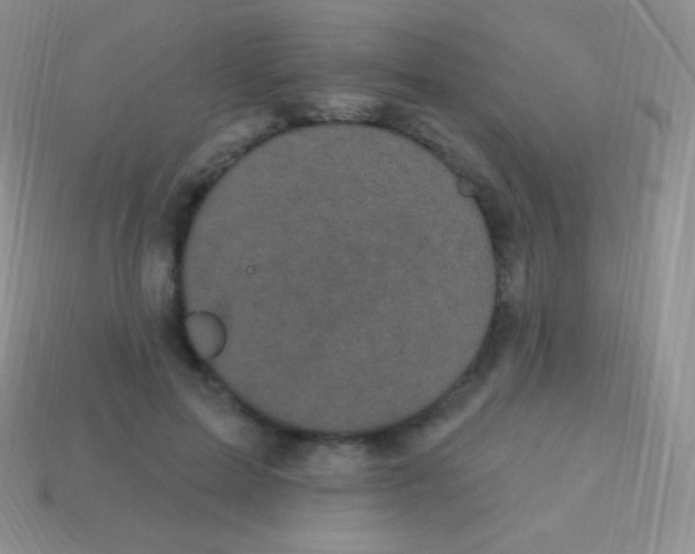 X0000113630599200910162017