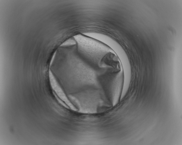 X0000113630601200910162017