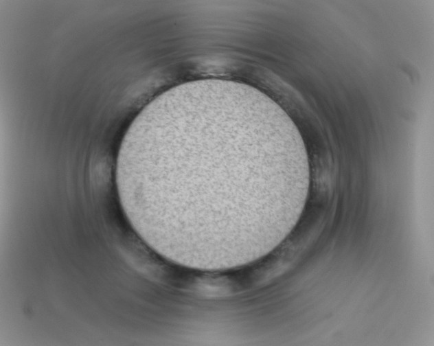 X0000113630603200910162017