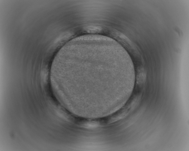 X0000113630604200910162017