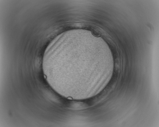 X0000113630605200910162017