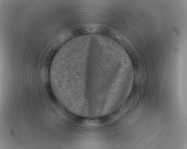 X0000113630606200910162017