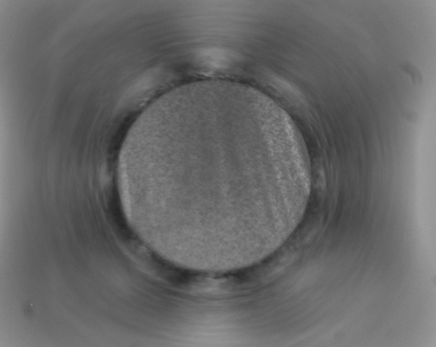 X0000113630607200910162017