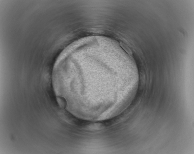 X0000113630609200910162017