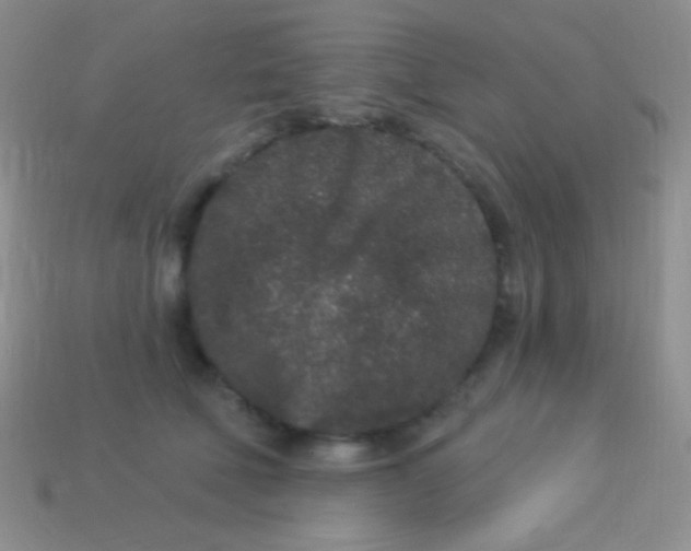 X0000113630610200910162017