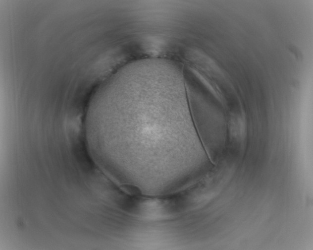 X0000113630611200910162017