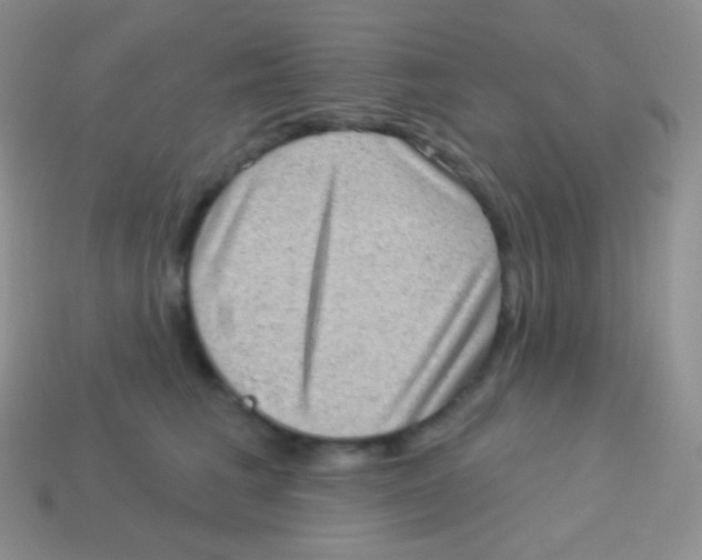 X0000113630613200910162017