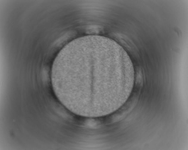 X0000113630616200910162017