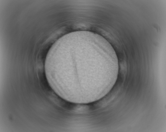 X0000113630617200910162017