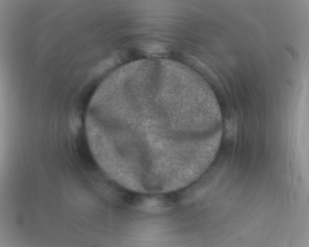 X0000113630618200910162017