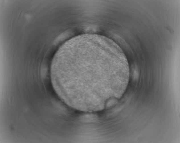 X0000113630619200910162017