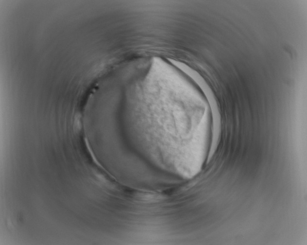 X0000113630621200910162017