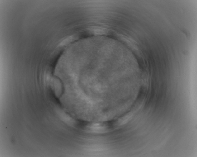 X0000113630622200910162017