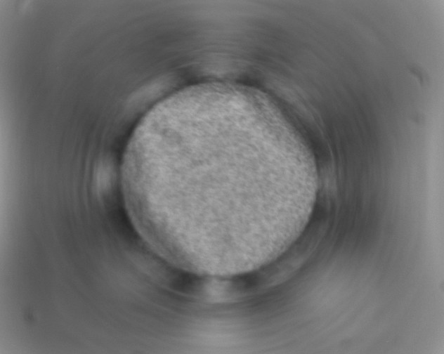 X0000113630623200910162017