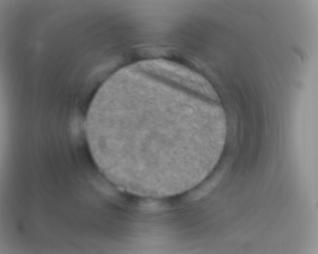 X0000113630624200910162017