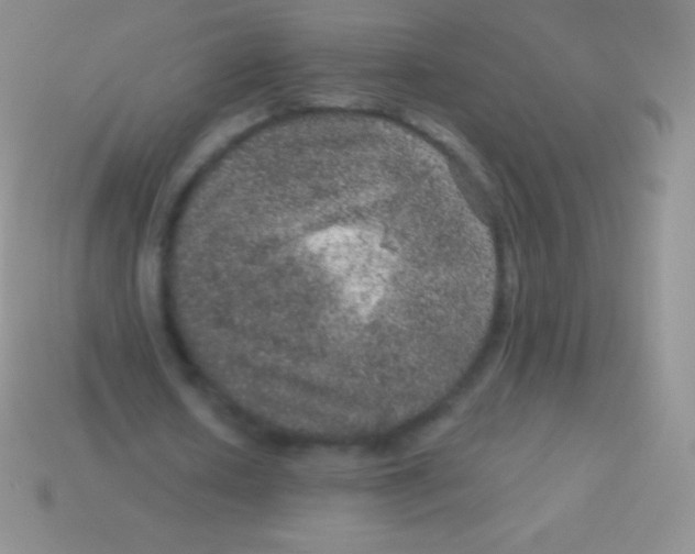 X0000113630626200910162016