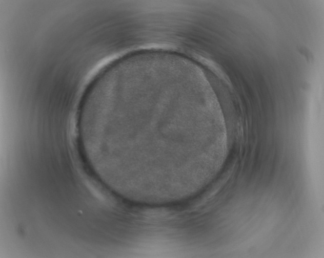 X0000113630628200910162016