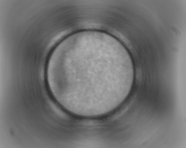 X0000113630629200910162016