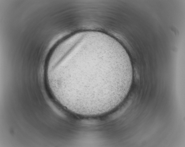 X0000113630630200910162016