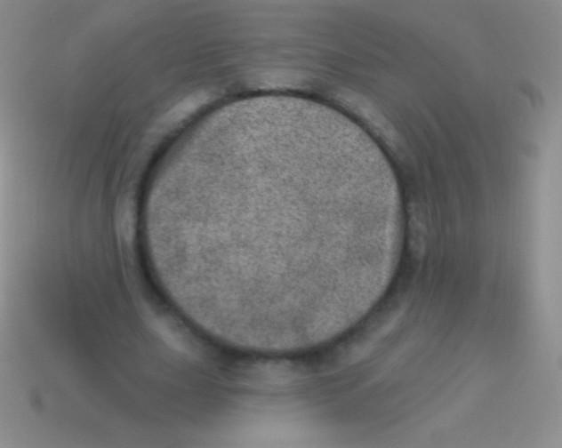 X0000113630631200910162016