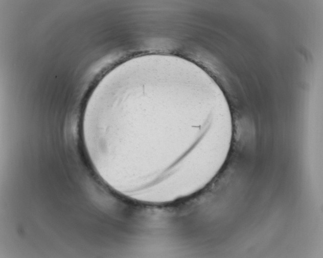 X0000113630632200910162016