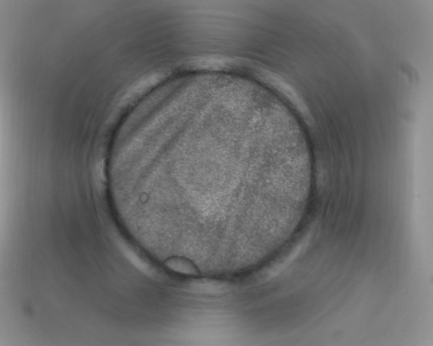 X0000113630633200910162016