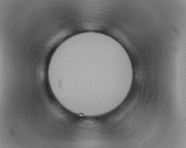 X0000113630635200910162017