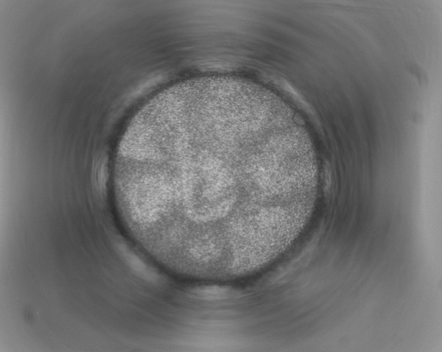 X0000113630637200910162017