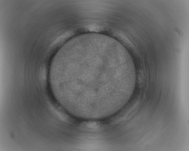 X0000113630639200910162017