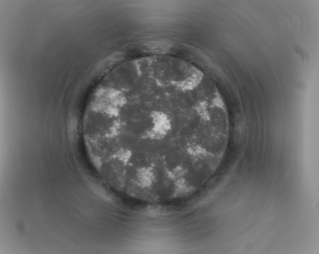 X0000113630641200910162017