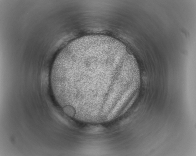 X0000113630642200910162017