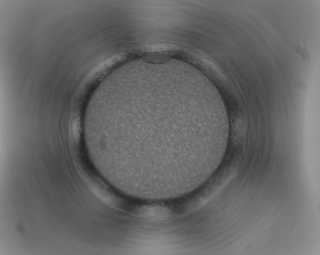 X0000113630644200910162017