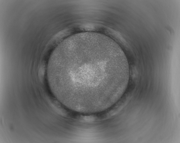 X0000113630645200910162017