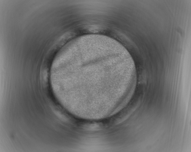 X0000113630646200910162017