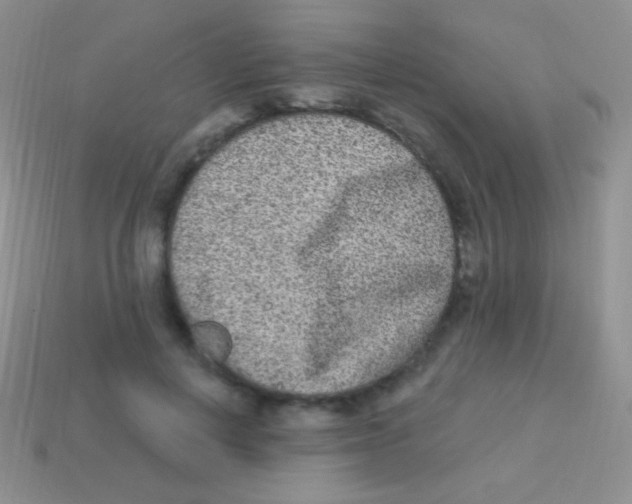 X0000113630648200910162017