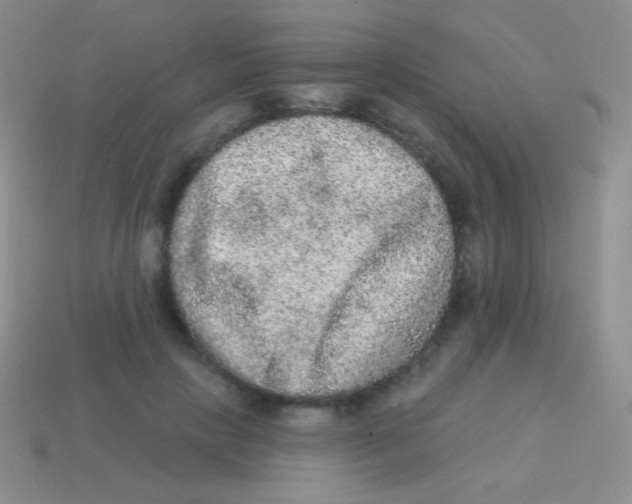 X0000113630649200910162017