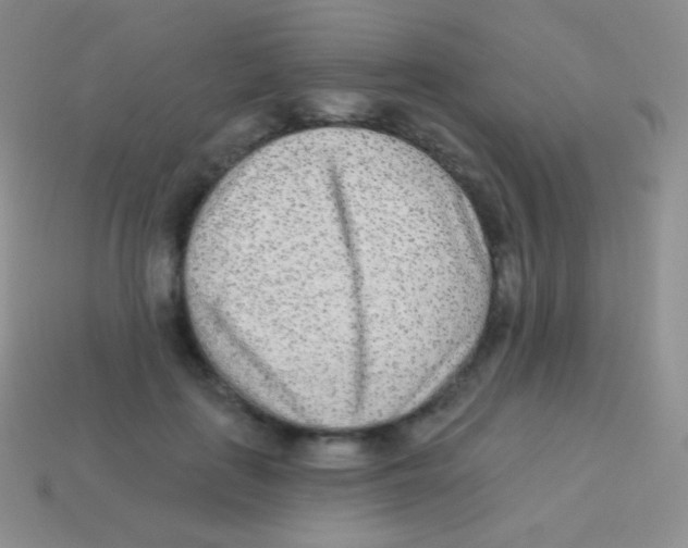 X0000113630651200910162017