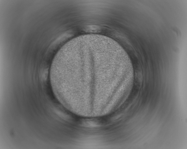 X0000113630652200910162017