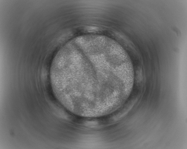 X0000113630653200910162017