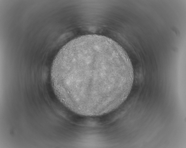 X0000113630656200910162017