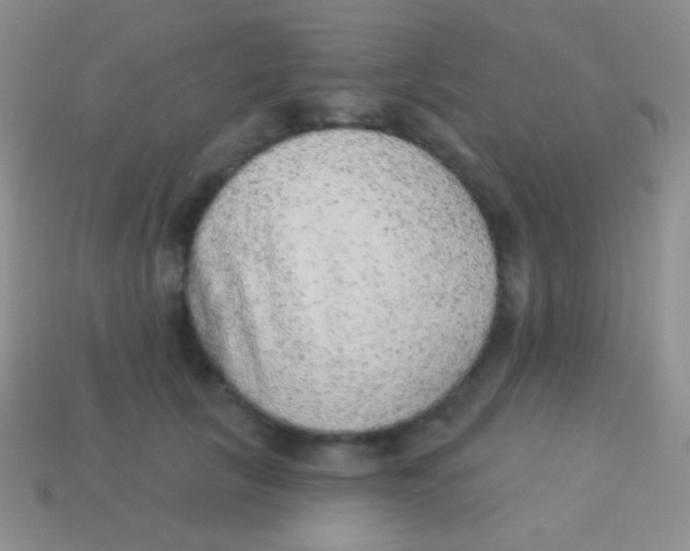 X0000113630657200910162017