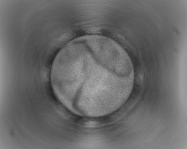 X0000113630658200910162017