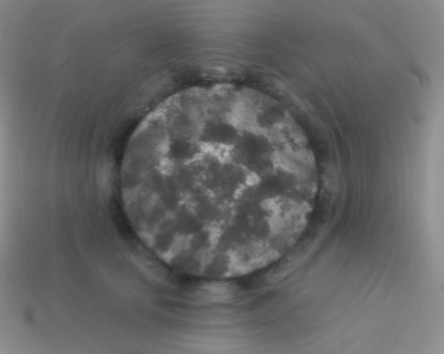 X0000113630659200910162017