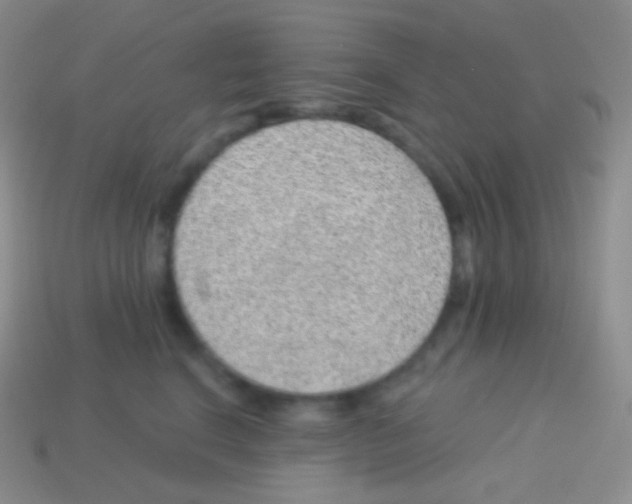 X0000113630664200910162017