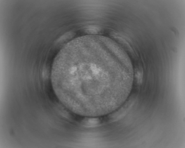 X0000113630665200910162017