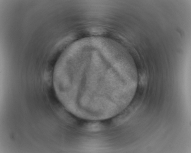 X0000113630666200910162017