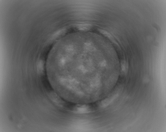 X0000113630667200910162017